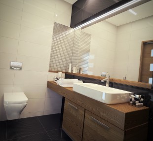 salon_samochodowy_lazienka